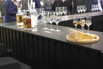 Parmigiano Reggiano, a Vinitaly il matrimonio con Grappa del Trentino