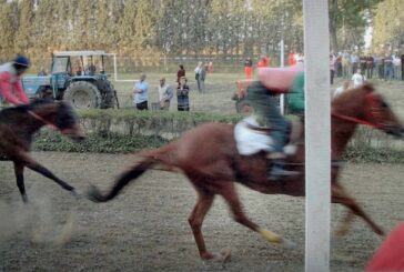 Torrita di Siena: al Capannone tornano i cavalli