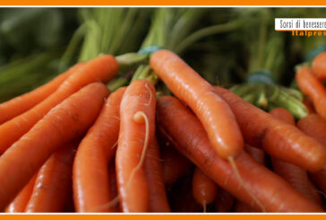 Sorsi di benessere – Pesto di carote per preparare la pelle all'estate