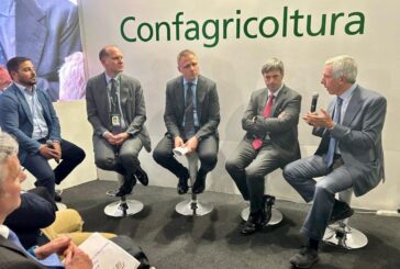 Filiera del pomodoro da industria, il nuovo progetto di Mediterranea