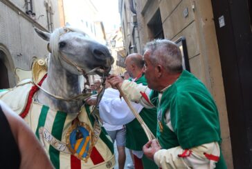 Viaggio a ritroso nel Palio visto da Augusto Mattioli (2023)