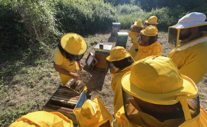 Coldiretti: “Giornata delle api: festa con melari vuoti”