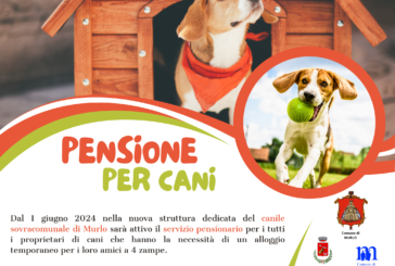Castelnuovo: contro l’abbandono pensione per cani a prezzi accessibili