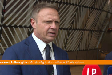 Lollobrigida "Rafforzare l'agricoltura in chiave di sovranità europea"