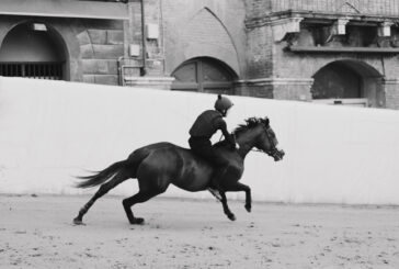 Palio 2 luglio: 35 i cavalli ammessi alla Tratta