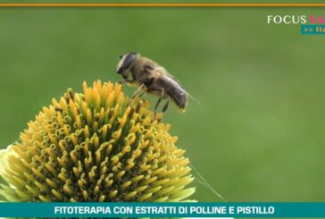 Fitoterapia con polline e pistillo,20 anni di studi dimostrano efficacia