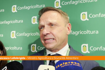 Green Deal, Lollobrigida "Superare visione estremista"