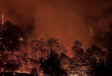 Incendio a Celle sul Rigo: fiamme sotto controllo