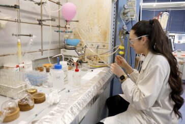 QS Europe University Ranking: l’Università di Siena migliora il suo posizionamento