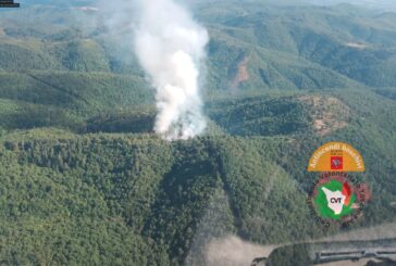 Gaiole: nuovo incendio boschivo nell’area di Monteluco
