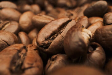 Caffè, prezzi ai massimi storici