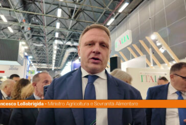 Lollobrigida "Governo sostiene imprese per rafforzare Made in Italy"