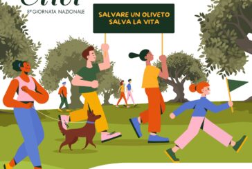 Per la prima volta “Camminata tra gli Olivi” a Poggibonsi