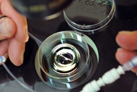 Fecondazione eterologa: la Regione rafforza il sostegno alle coppie