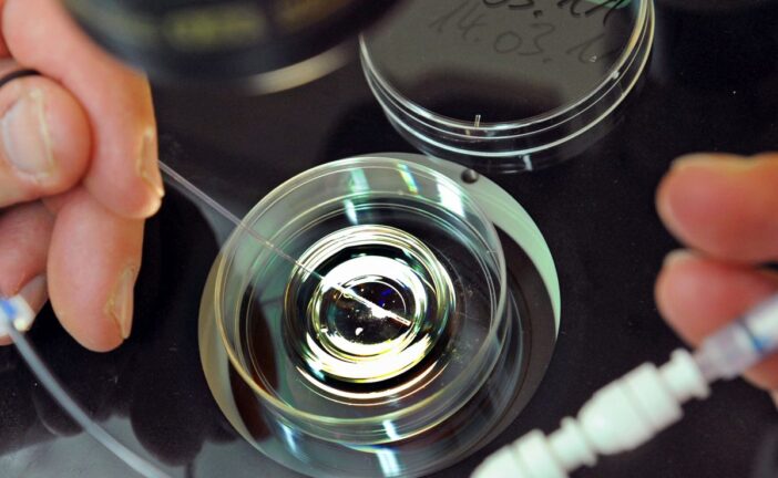 Fecondazione eterologa: la Regione rafforza il sostegno alle coppie