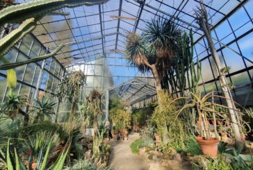 Letture poetiche all’imbrunire all’Orto Botanico, tra poesia e natura