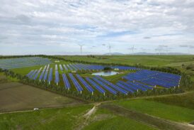 Agrivoltaico: Buonconvento vuole la pianificazione territoriale