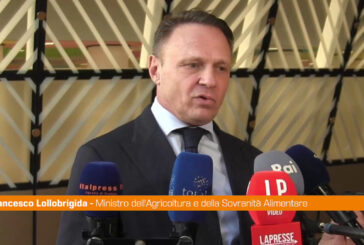 Mercosur, Lollobrigida "Servono regole comuni"