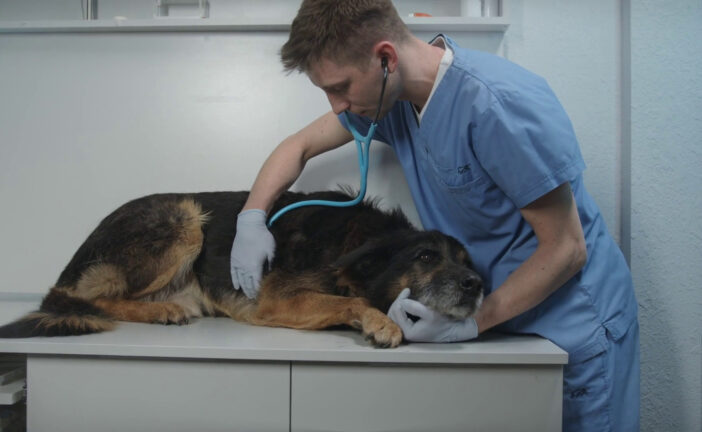 Agricoltura Made in Italy, tra primati e fragilità