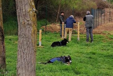 Ecco l’area sgambamento cani a Bellavista
