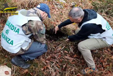 Belluno, ritrovati otto ordigni bellici in un'area boschiva