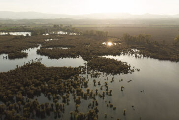 Montepulciano: risorse per la tutela della Riserva Naturale del Lago