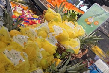 Tornano “i Limoni per la ricerca®” per sostenere la ricerca scientifica d’eccellenza