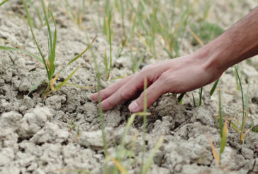 I cambiamenti climatici hanno impatti irreversibili