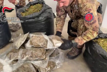 30 kg di marijuana nascosti in casa nella locride, arrestato un 35enne