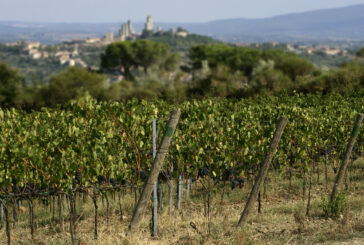 Dazi USA: la preoccupazione del Consorzio della Vernaccia di San Gimignano