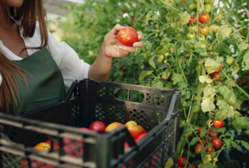 L’agroalimentare traina l’economia italiana