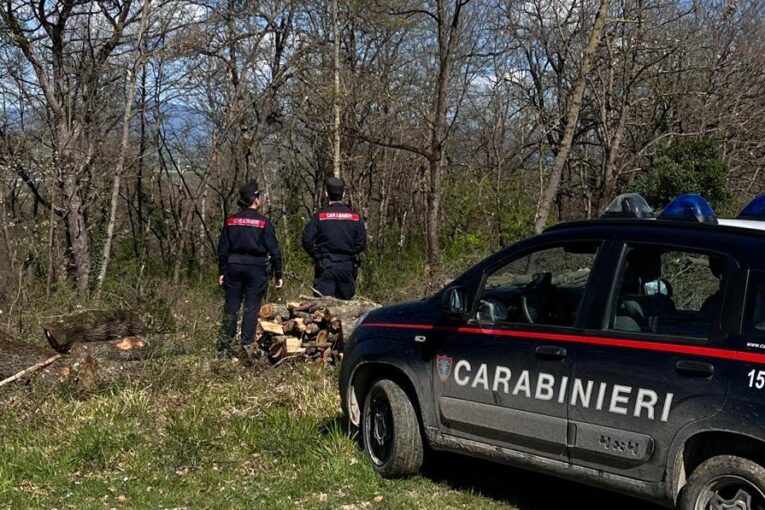 I Forestali scoprono un bivacco di spacciatori in località Bellavista