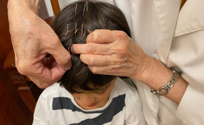 Siena capitale della neuro-agopuntura dal 9 all’11 maggio