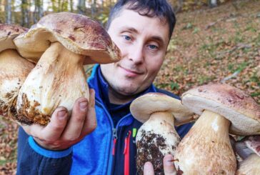 Edizione primaverile per “Torrita Biodiversità – Festa dell’Agri Cultura”