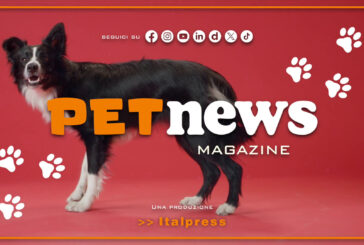PetNews Magazine – 22/4/2025