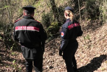 Operazione “Rastrello”: i Carabinieri smantellano varie piazzole di spaccio nei boschi