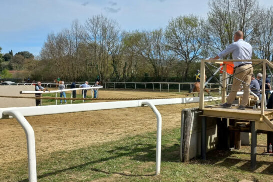 Protocollo Equino: il 7 aprile lavori di addestramento a Monticiano