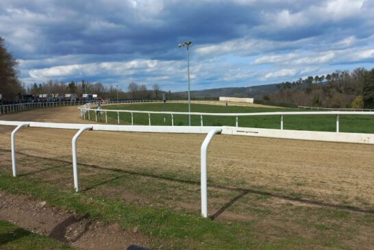 Protocollo Equino: nuovo appuntamento a Monticiano
