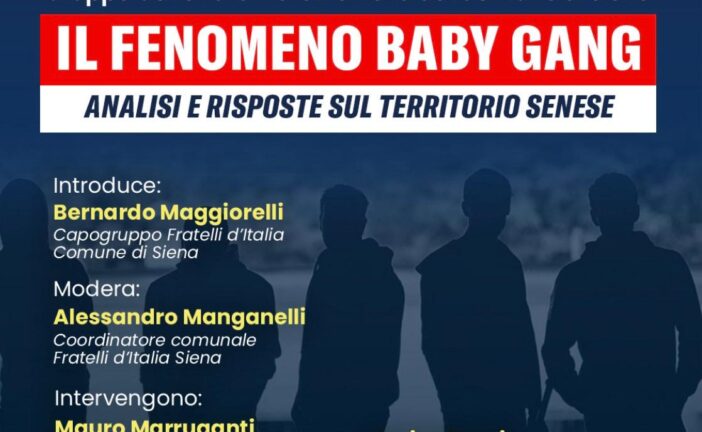 FdI analizza “Il fenomeno baby gang”