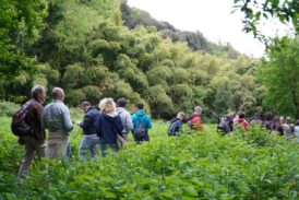 Siena nei primi 5 posti in Italia nella gara mondiale “City Nature Challenge”