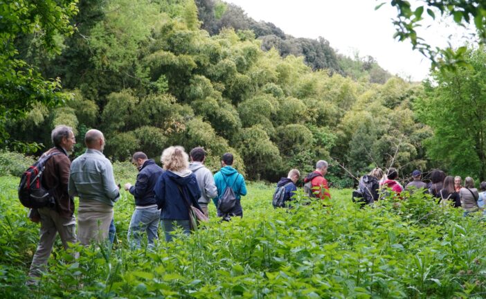 Siena nei primi 5 posti in Italia nella gara mondiale “City Nature Challenge”