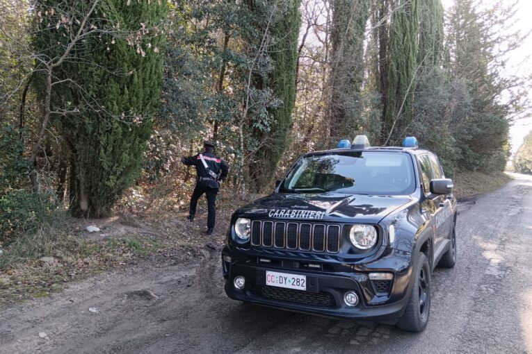 Smantellate dai Carabinieri numerose piazzole di spaccio in aree boschive
