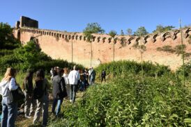 Al Festival della biodiversità Siena celebra la natura in città