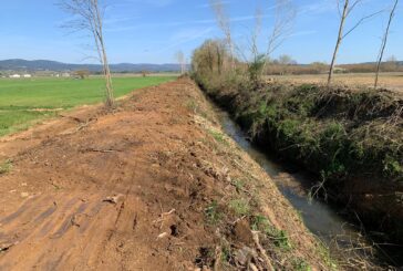 Intervento urgente del Cb6 sulle rive del Serpenna