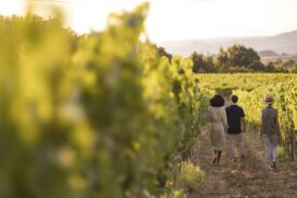 Cantine Aperte “per te”: il 24 e 25 maggio le novità dell’enoturismo italiano