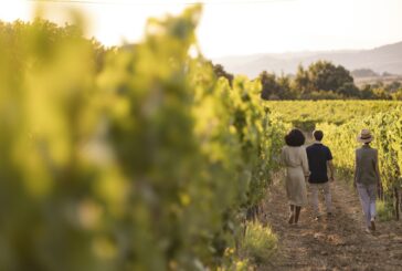 Cantine Aperte “per te”: il 24 e 25 maggio le novità dell’enoturismo italiano