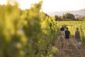 Cantine Aperte “per te”: il 24 e 25 maggio le novità dell’enoturismo italiano