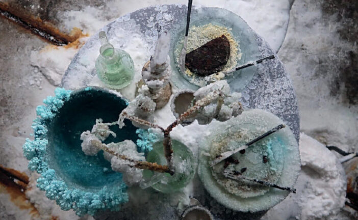 A palazzo Chigi Zondadari apre la mostra “Earth, coral, clouds” di Bianca Bondi
