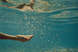 UniSi impegnata nello studio della distribuzione delle microplastiche nell’oceano