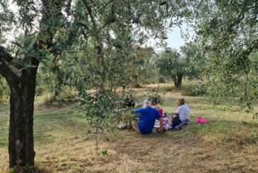 Montepulciano: pomeriggio di gusto e natura con la Merenda nell’Oliveta